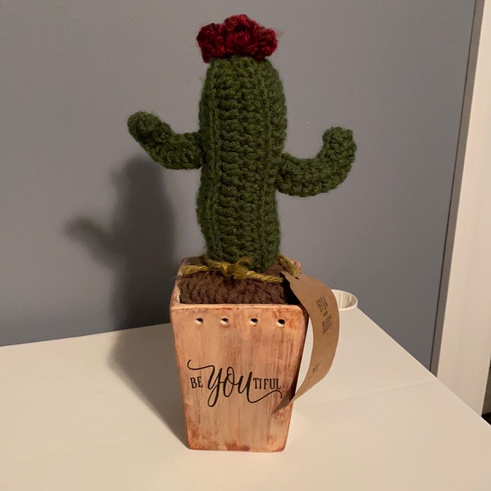 Crochet Cactus in Vase decor🌵